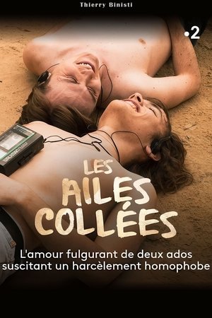 Les Ailes CollÃ©es