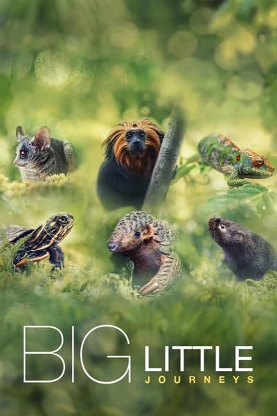 big-little-journeys-saison-1
